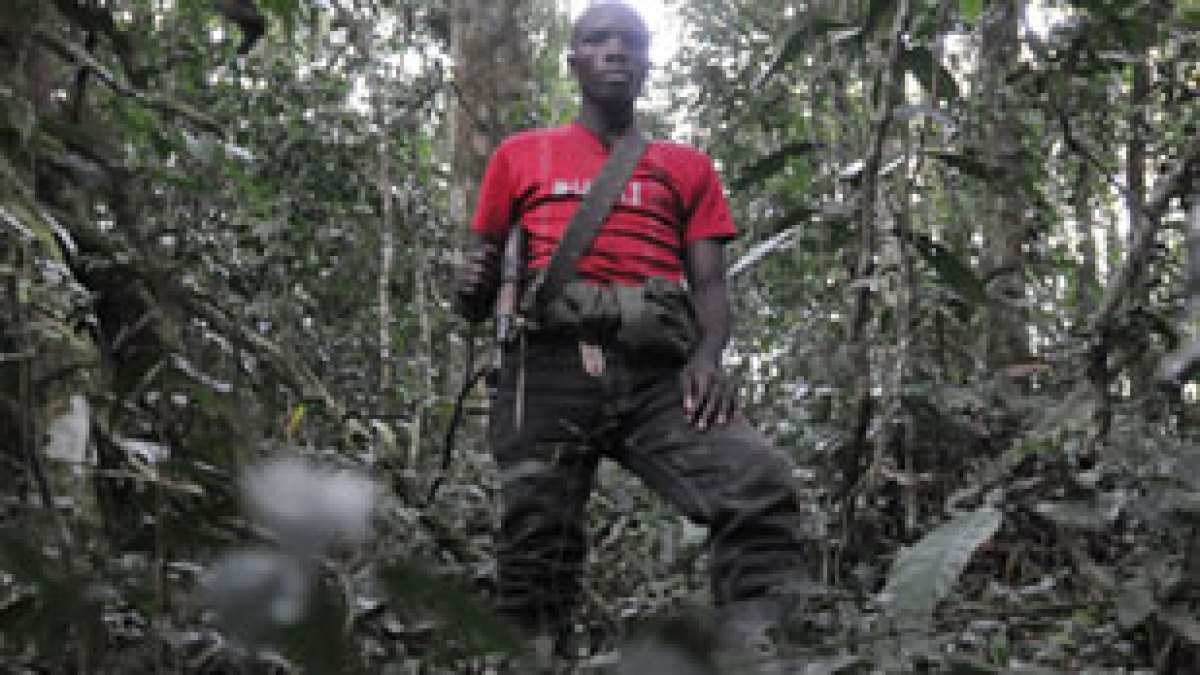 What is the FDLR, and why does its anti-Tutsi ideology endure?