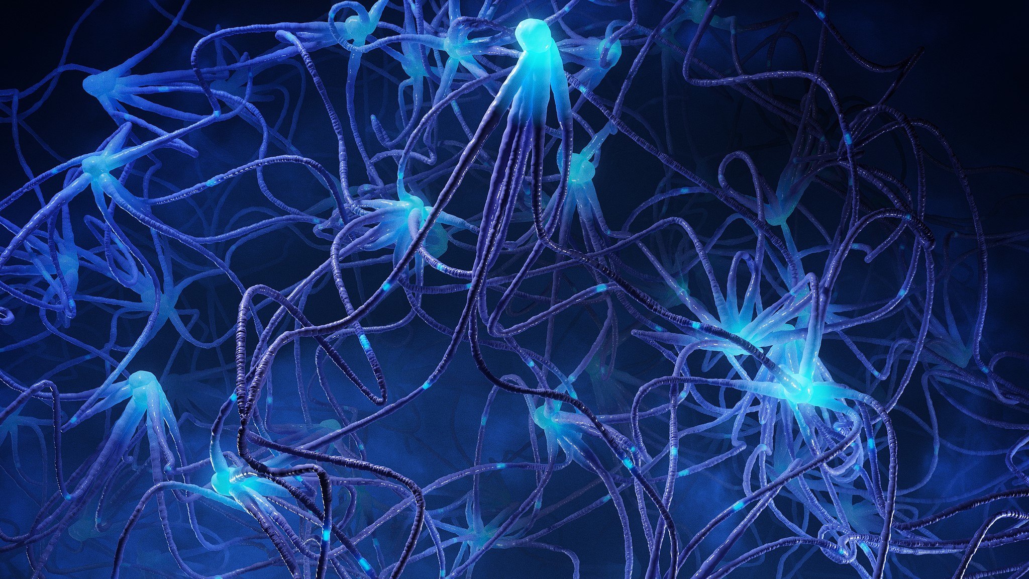 Single neurons act like tiny computers, China study finds