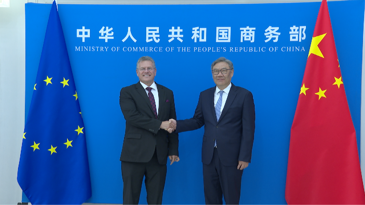 China, EU make progress in trade consultations