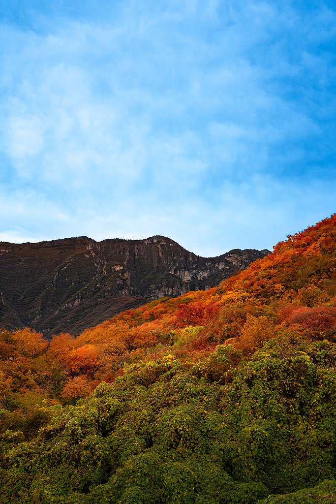 Chasing autumn colors in Beijing