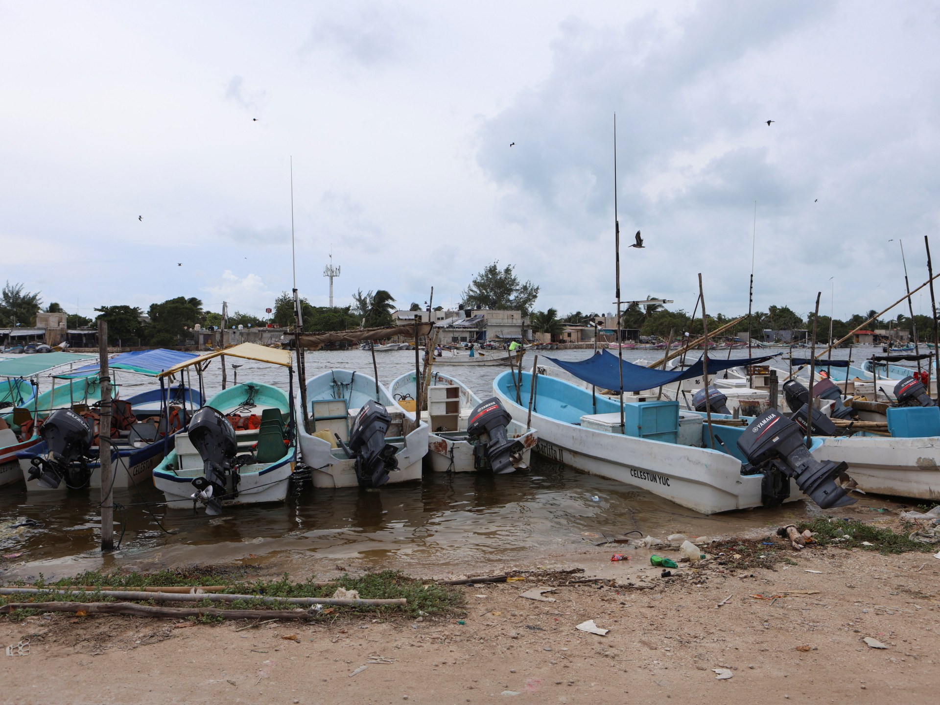 Faecal waste pollutes drinking water in Mexico’s Yucatan, Greenpeace says