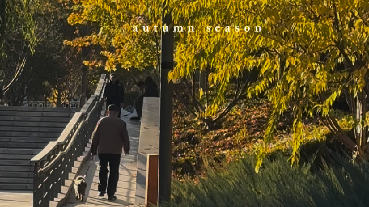 Painted in autumn: Echoes of Tang poetry along Beijing's Liangma River