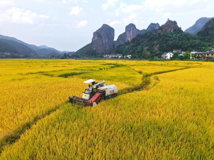 How China turns green resources into rural prosperity