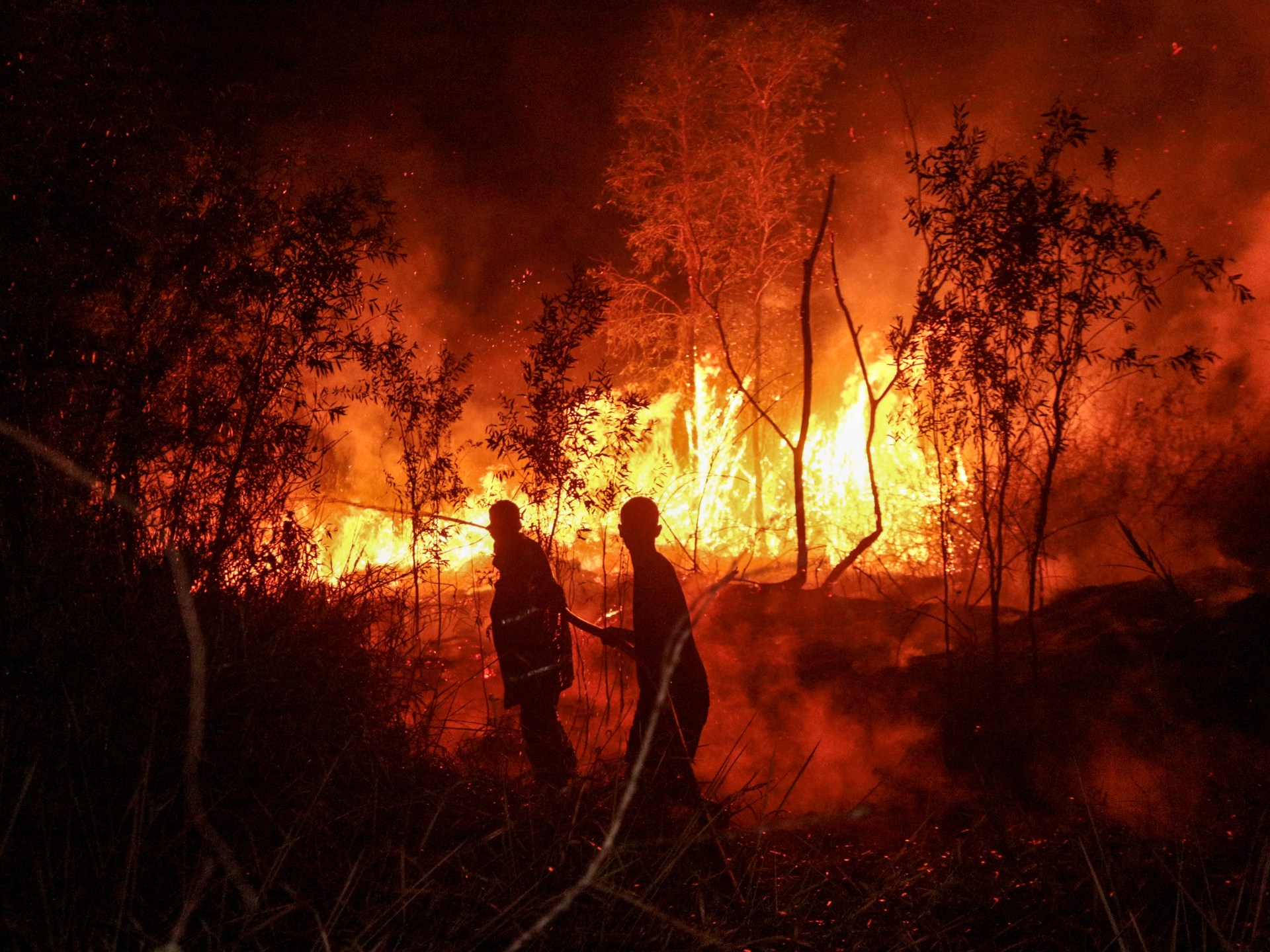Four killed as Indonesia battles worst forest fires in more than a decade