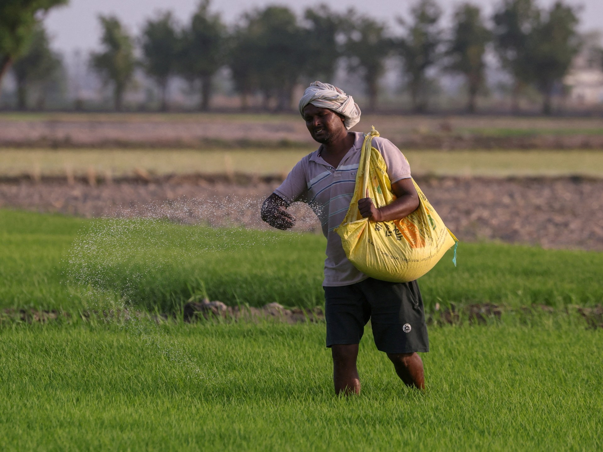UN official warns of looming food crisis as Hormuz fertiliser plan stalls