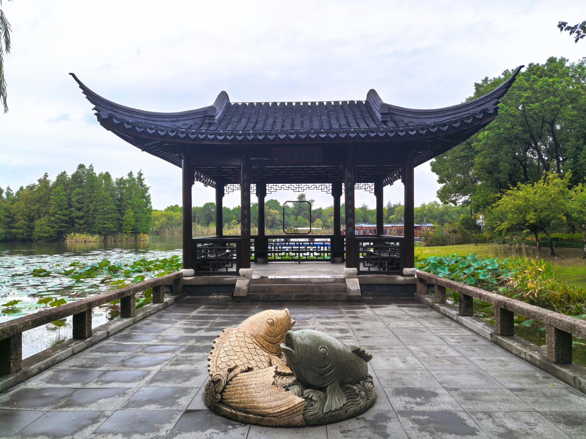 Shanghu: Discover the water forest in southern China