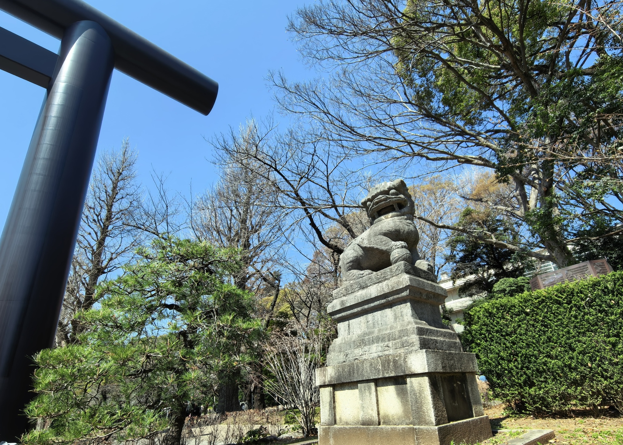 Why are Chinese stone lions still at Yasukuni Shrine?
