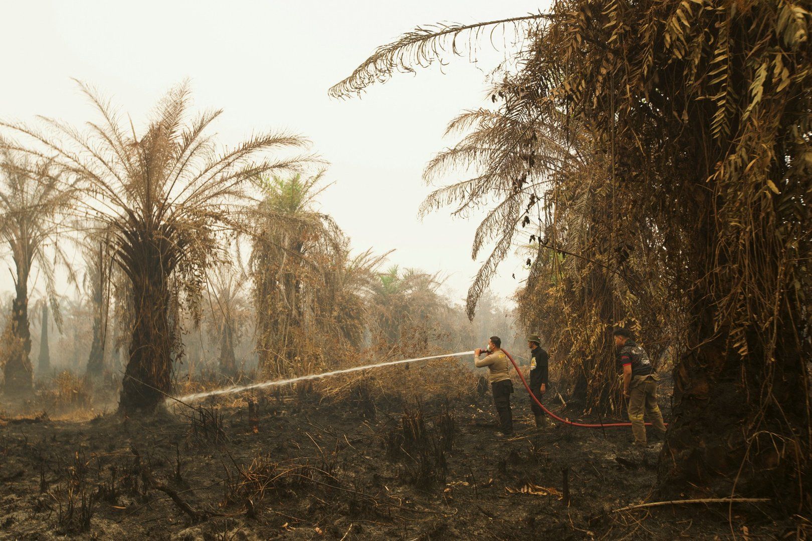 Indonesia battles worst forest fires and toxic haze in 11 years