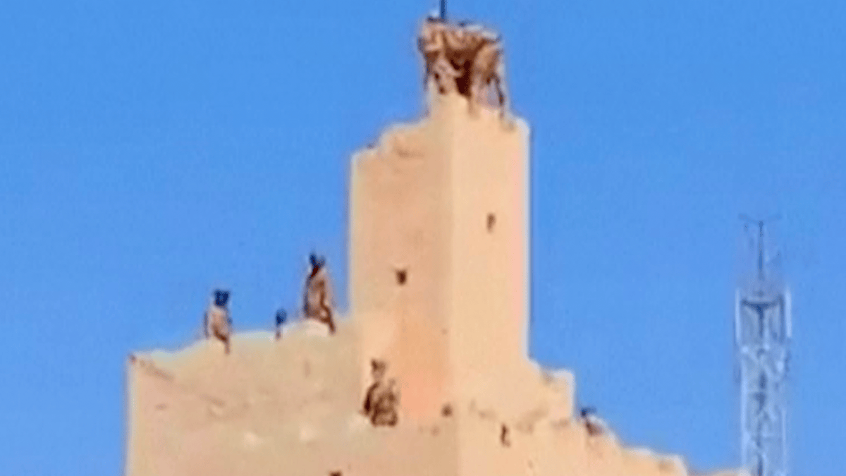 Video said to show Mali army in Kidal after retaking city