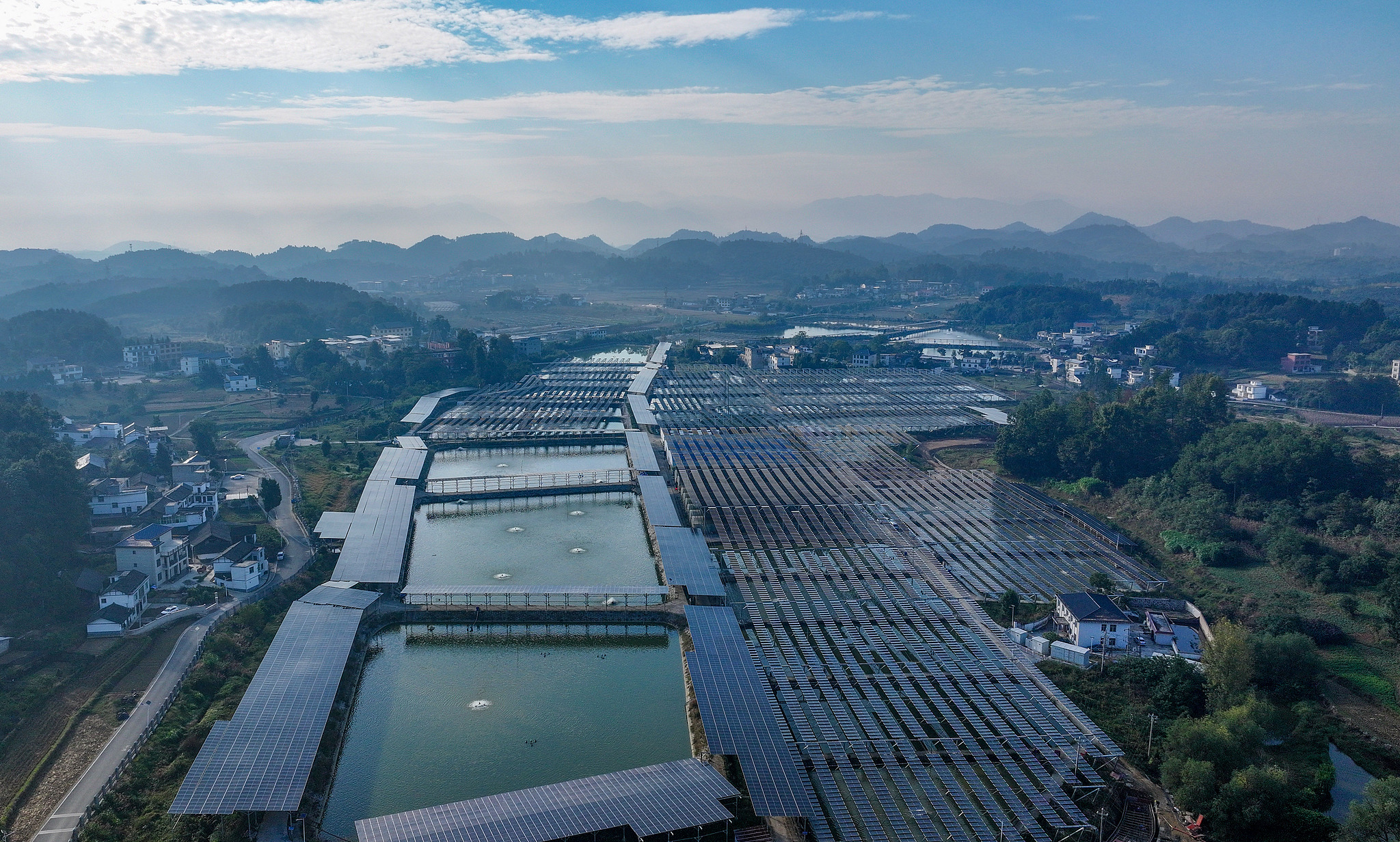 China mulls export curbs on AI, biomedicine and solar tech