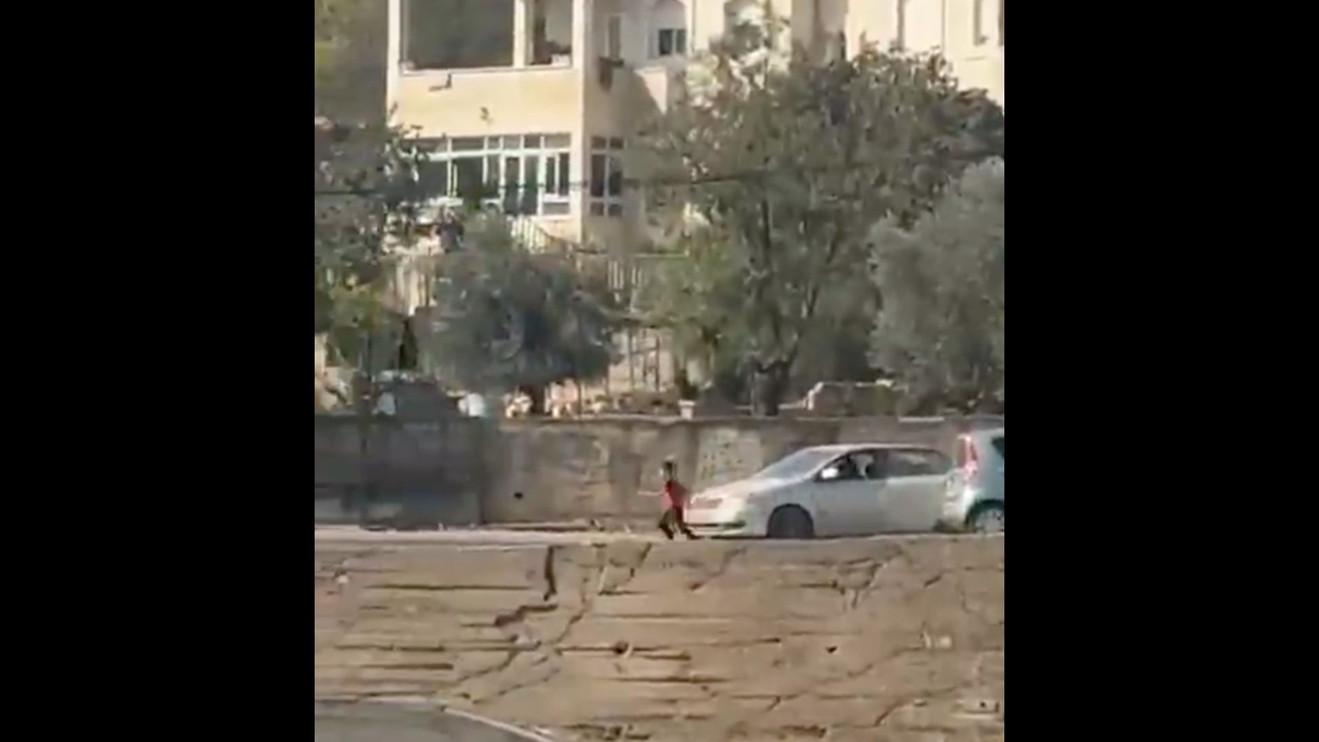 Child flees as Israeli settlers hijack car during pogrom